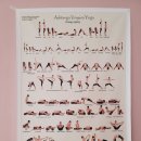 아쉬탕가 빈야사 요가 A 이미지