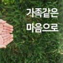 (주)유토피아퓨처 이미지