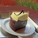 디.라떼(D.LATTE) 이미지