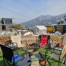 보람애견 이미지