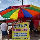 용천농원 이미지