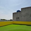 바미애견유치원 이미지