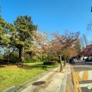 논현해물칼국수인천논현 - 남동구 논현고잔로 166 | 논현해물칼국수인천논현