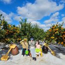 남원읍-74 이미지