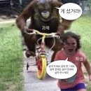 [2024APR후기]꽃이 만개한게 엊그제인데 벌써 여름이 성큼 다가왔다?!(Feat.오랑우탄 학부생인 나와 흰...