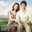 하루와이틀 이미지