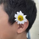 오천 초등학교 병설 유치원 이미지