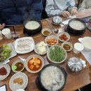 경주박가국밥 | 부산어린이 대공원 맛집 "경주박가국밥" 내돈내산 후기