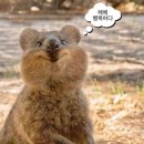 네네치킨 삽교점 | 안녕, 2025년 그리고 퇴사 .ᐟ