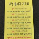부영셀프세차장 네이버블로그