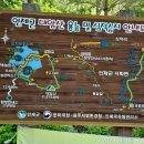 용늪마을 이미지