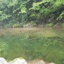 카멜펜션 이미지