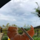 달서별빛캠프 캠핑장 이미지