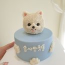 드루왕왕 이미지