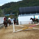 동서울 승마장 이미지