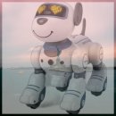 바우와우 | 제주 함덕 애견 동반숙소 럭셔리 숙박 후기 바우와우