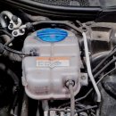 럭공개러지 이미지