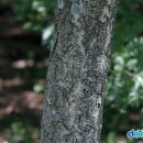 월인한의원 이미지