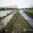 간선-49 이미지