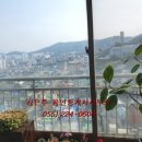 완월동234 이미지