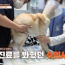 동서울동물병원 네이버블로그
