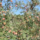 마한농장 이미지