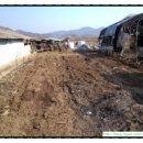 우석농장(2농장) 이미지