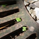 청송한의원 이미지