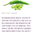 ‘스코빌지수’로 알아보는 매운 고추 순위 이미지