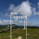 연세우유강릉대리점 | [대관령/평창 여행] 대관령 양떼목장 추천 🐑 삼양라운드힐 방문 후기 (양몰이 공연은 꼭!)