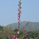 남산반곡지 이미지