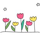 오요케이크