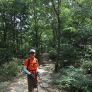 관악산 무너미계곡 만세걷기... 한여름을 곱게 보낸 곳에서... (8. 15 진행자 후기) 이미지