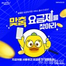 모요 이미지