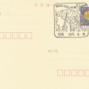 인제193번길 이미지