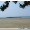 가마미해수욕장 이미지