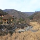 신대리야영장(주식회사 태기산마을 농업회사법인) [강원도 횡성군]