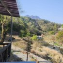 시내산펜션 이미지