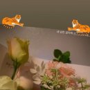 데이앤아워케이크