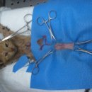 크로바빌딩 이미지