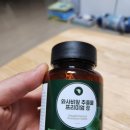엔루체아