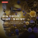 (주)동아유화 | 2025 네트워크 메타분석 23개 임상시험 3,905명·동아일보 2026 레티놀 논란·하버드 2년 추적 RCT가...