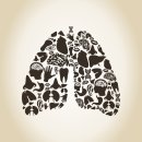 민들레농장 이미지