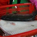 현대회센터 이미지