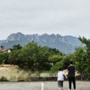 선창활어횟집 | 속초여행(25.9.7~9) 속초아이 대관람차, 선창활어횟집, 다이나믹 메이즈 후기