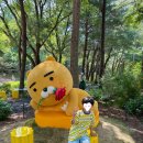 참사랑유치원(집단급식소) | 6살과 서울숲 국제정원박람회, 포르쉐 벤츠 정원 나들이 주말 서울 가볼만한곳