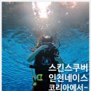 네이스코리아
