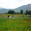 경주한옥펜션 하늘터밭 이미지