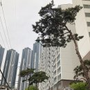전농신성미소지움 앞 이미지