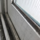 신일해피트리 경로당 | 오남신일해피트리 이사청소후기